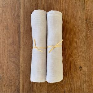 Aden by Aden + Anais Silky Soft Swaddle 2 pack